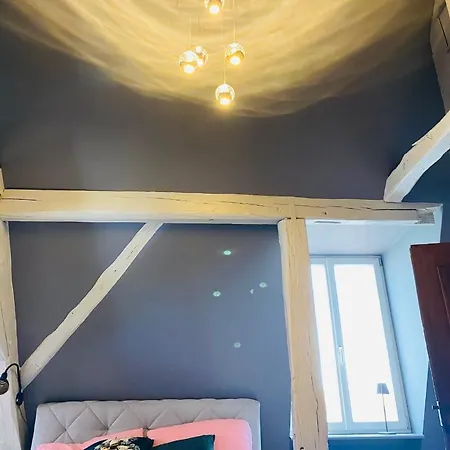 Vintner Suites Neustadt an der Weinstraße Esterno foto