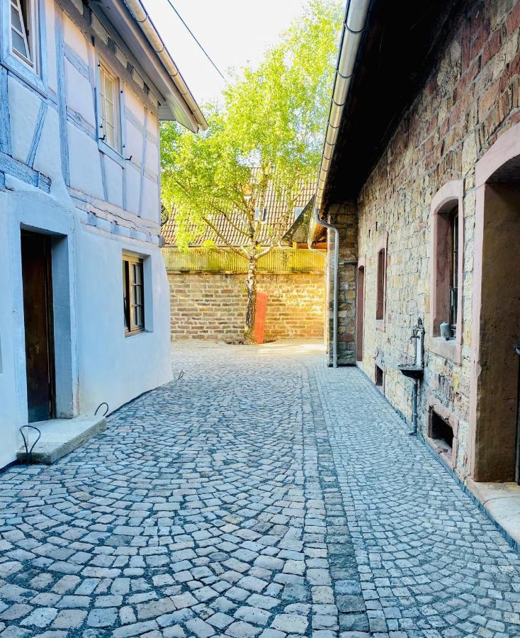 Vintner Neustadt an der Weinstrasse