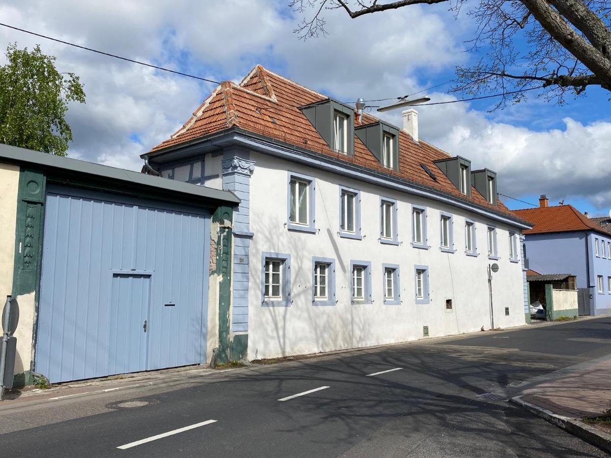 Vintner Apartment Neustadt an der Weinstrasse