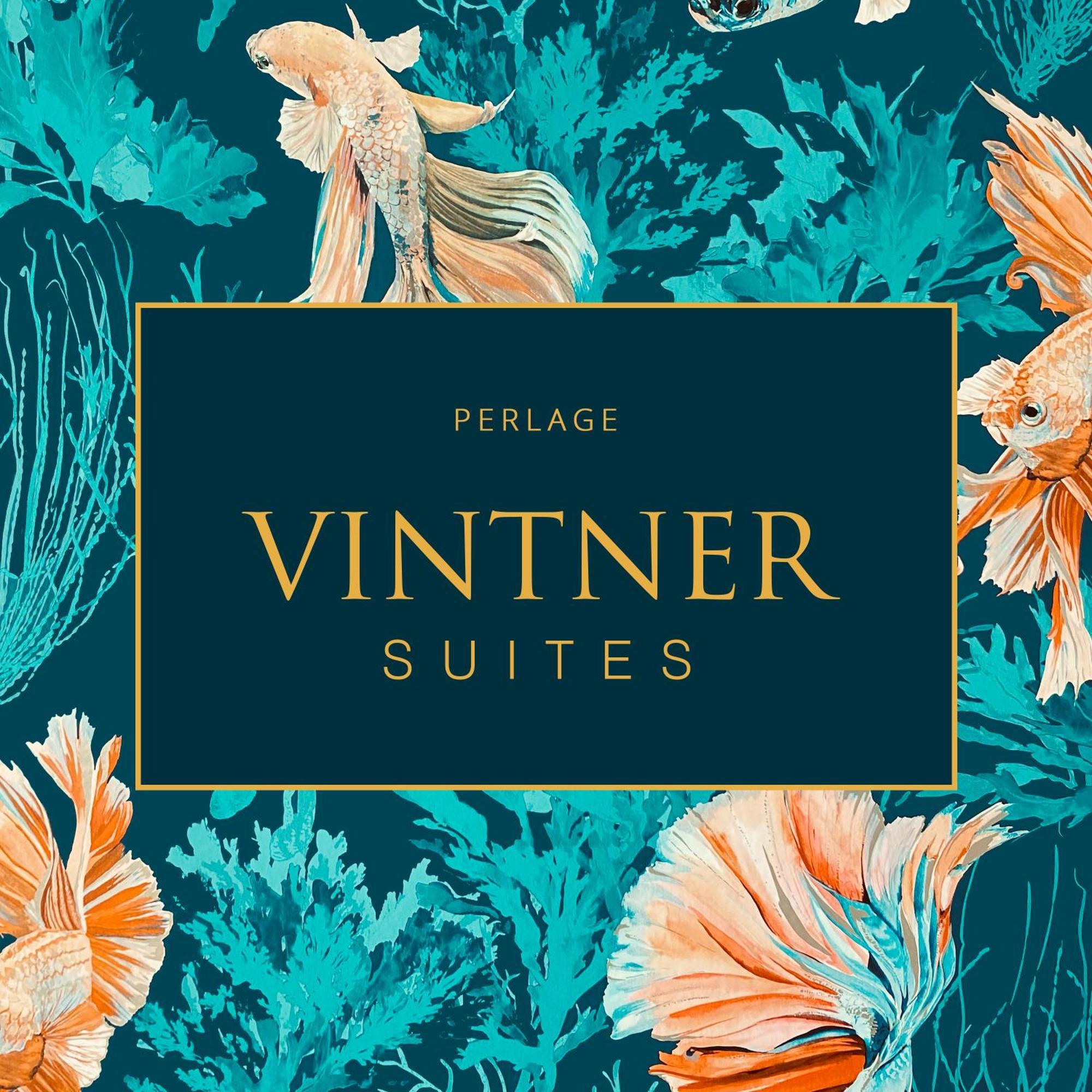 Vintner Apartment Neustadt an der Weinstrasse